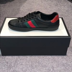 Gucci NEW!